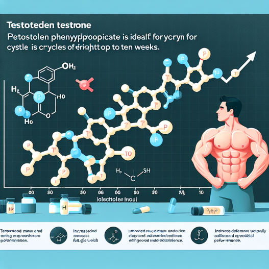 Warum Testosteron phenylpropionat für Zyklen von acht bis zehn Wochen ideal ist